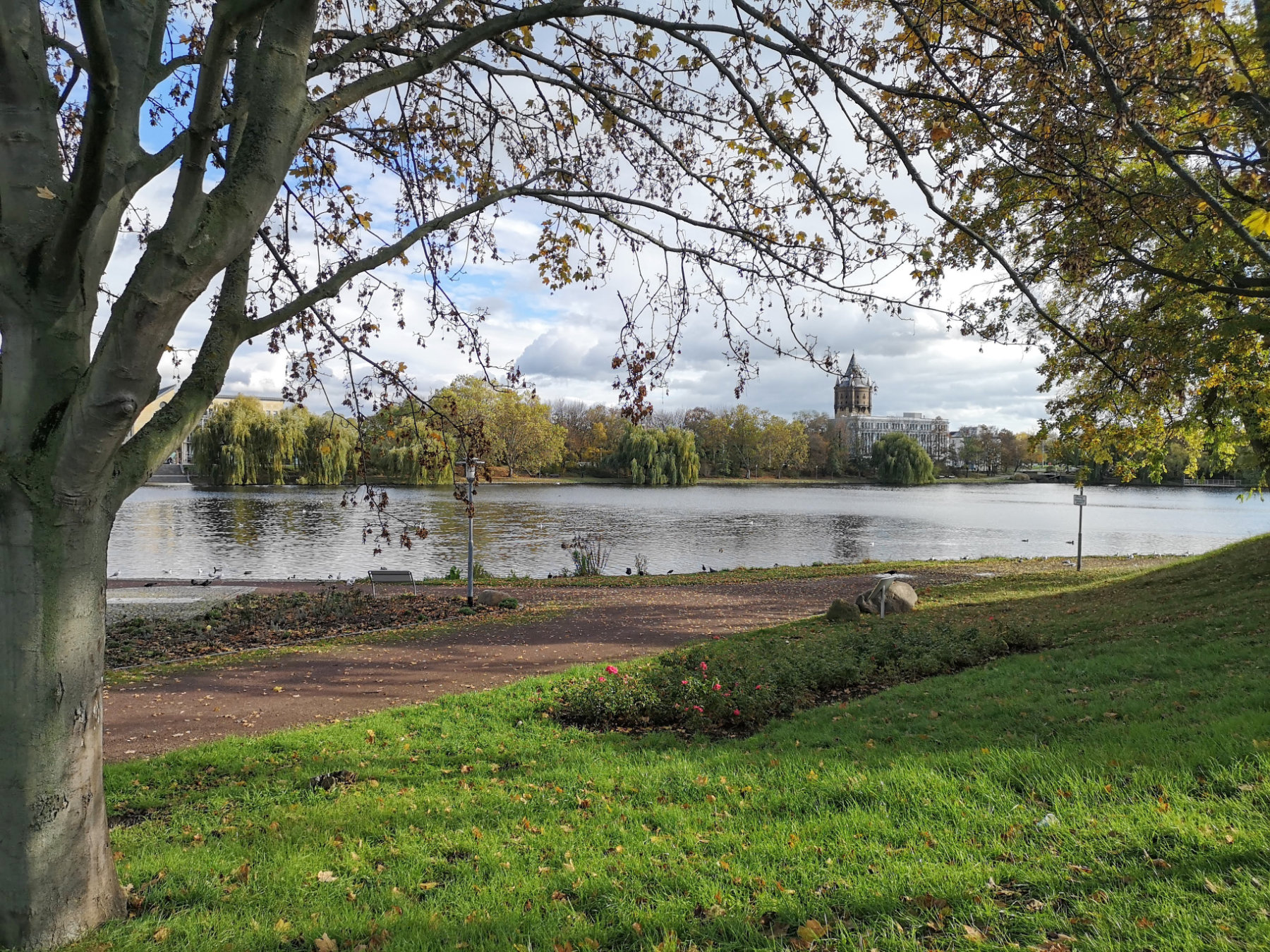 Gotthardteich (c) Stadt Merseburg