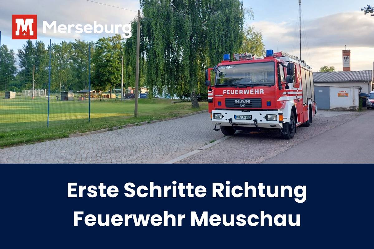 beitragsbild fw meuschau