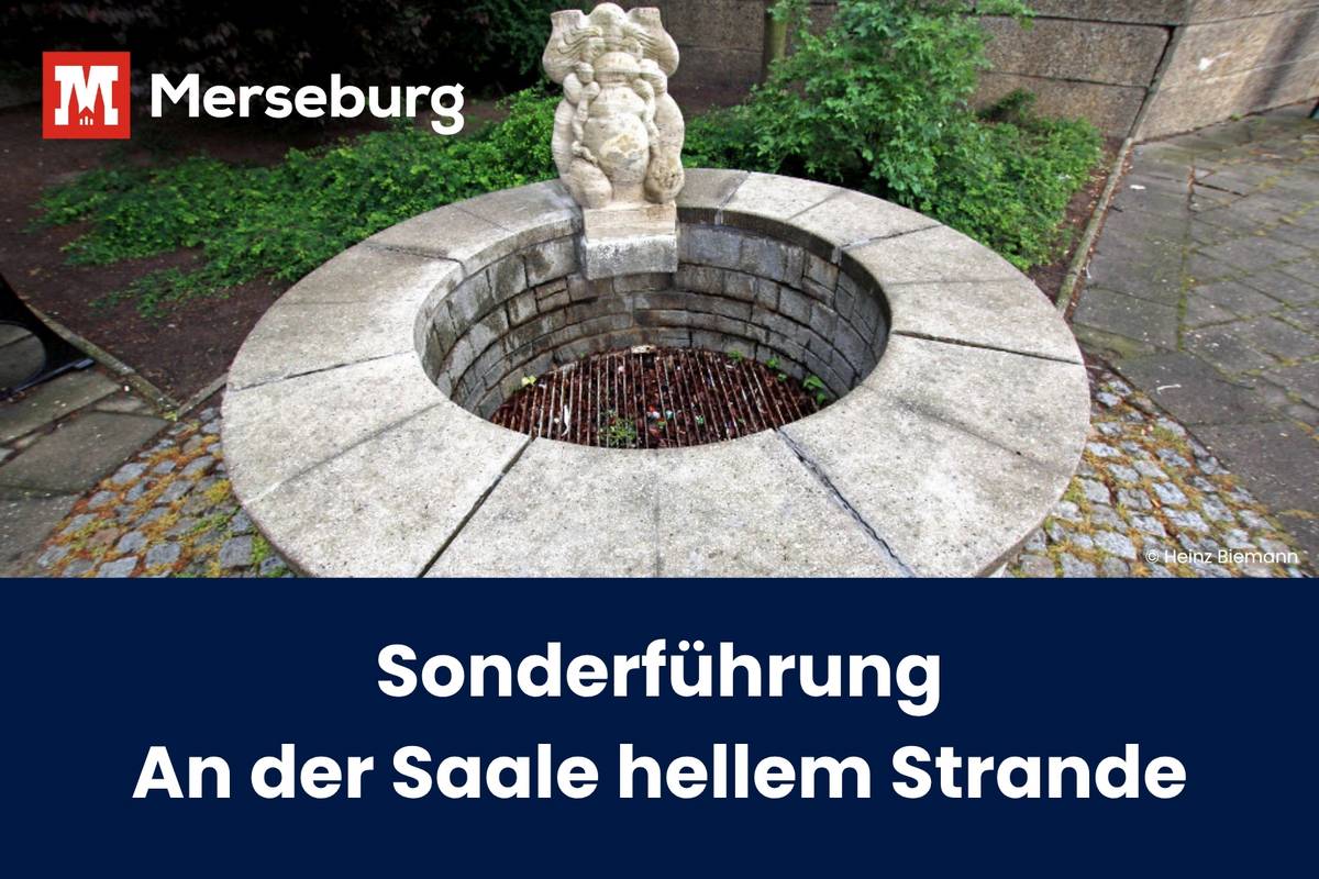 beitragsbild saale