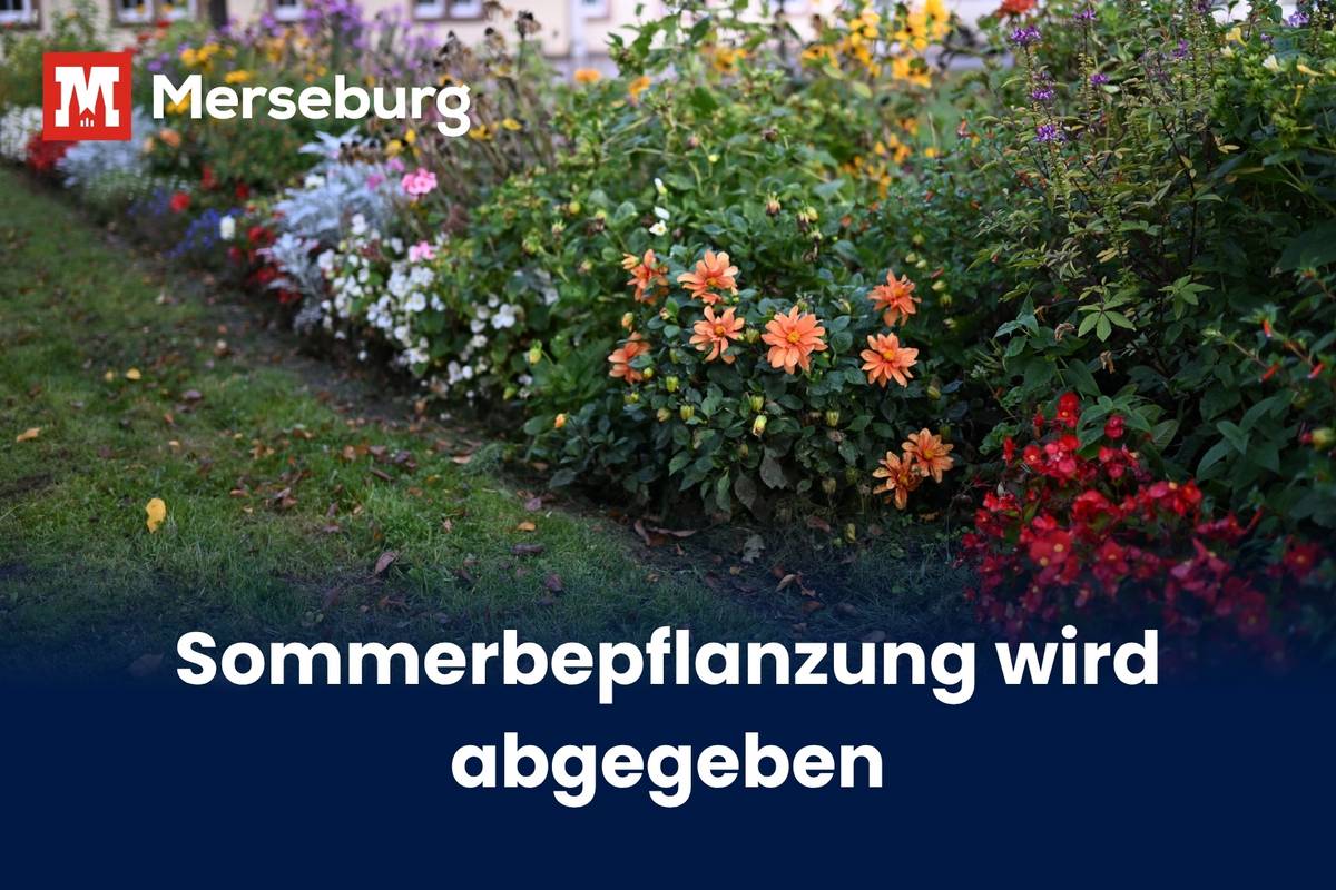 Verschiedene Sommerpflanzen vor dem Bahnhofsgebäude