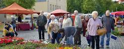 blumen  und bauernmarkt