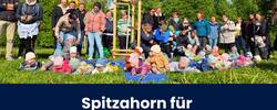 beitragsbild baumpflanzaktion