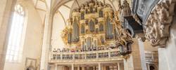 merseburger dom orgelkonzert c vereinigte domstifter foto falko matte