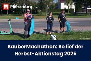 3 Bürger mit Müllsäcken und Greifzangen