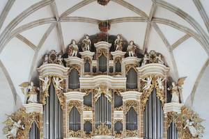 ladegast orgel ©Veranstalter