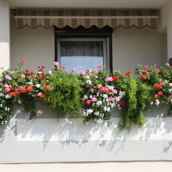 Aufruf zum 29. Blumenschmuckwettbewerb Balkongestaltung