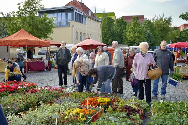 blumen  und bauernmarkt