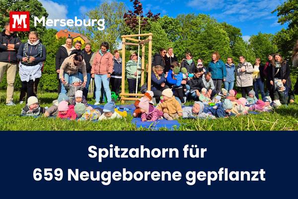 Beitragsbild Baumpflanzaktion © Pressestelle beitragsbild baumpflanzaktion