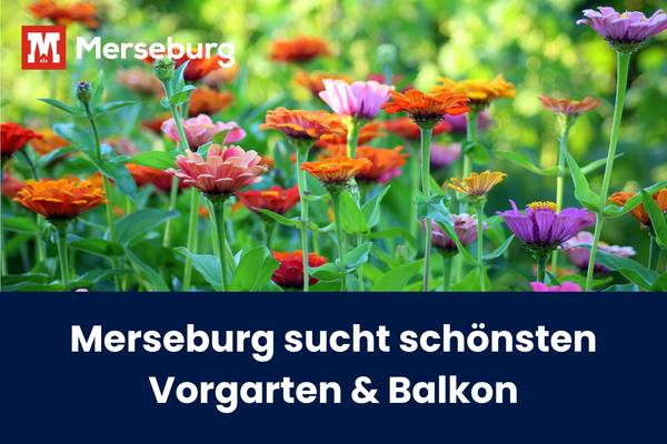 Symbolbild Blumenschmuck © Pressestelle beitragsbild blumenschmuck