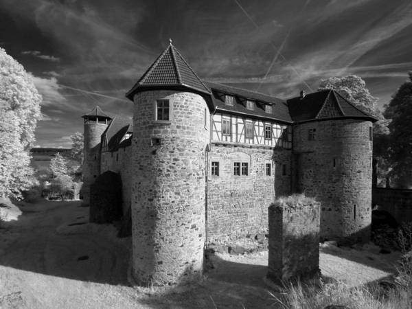 BibraV2 © Rainer Schubert